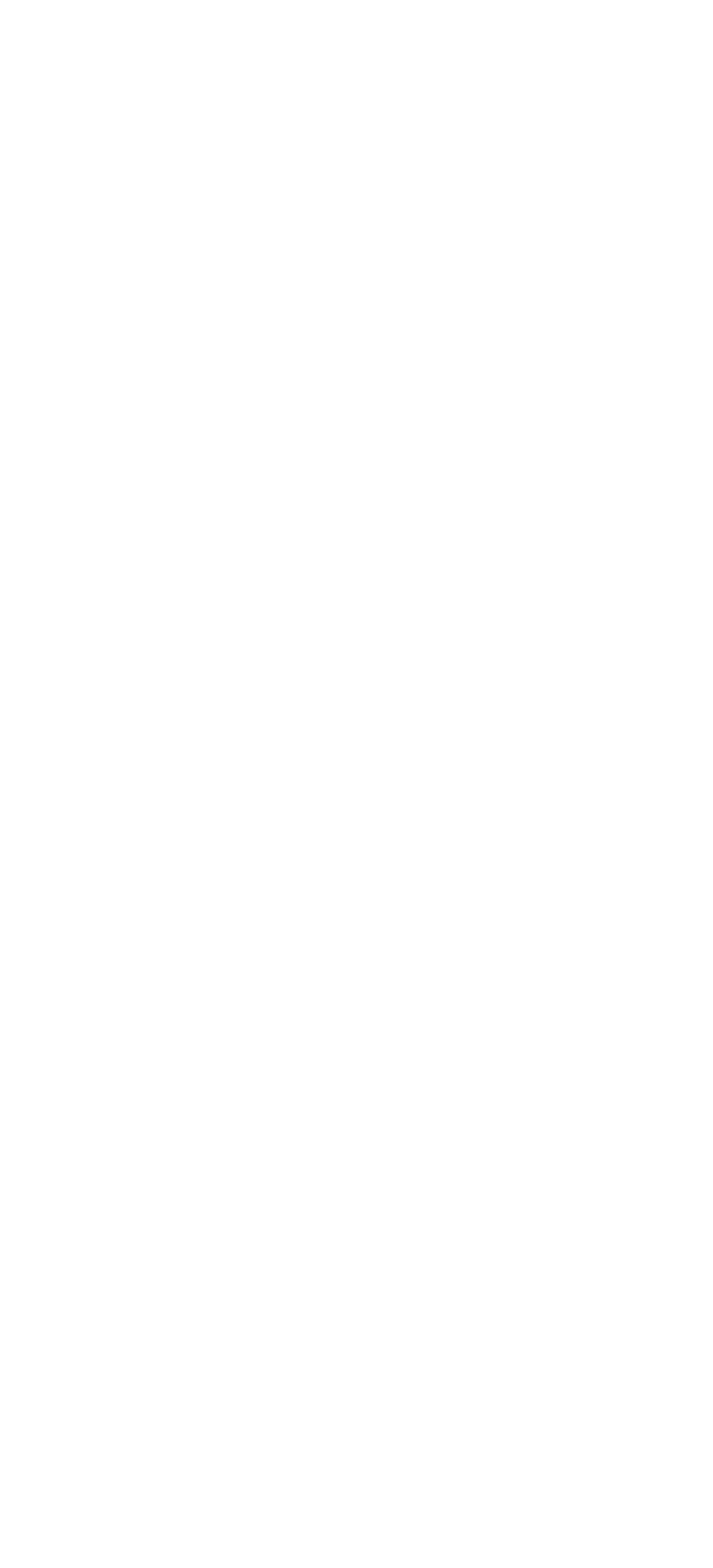 Bacca Ink logo